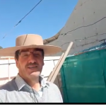 ¿Cómo hacer un huerto en tu casa?