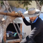 ¿Cómo hacer un huerto en tu casa?
