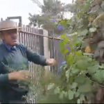 ¿Cómo hacer un huerto en tu casa?