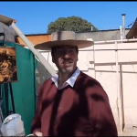 ¿Cómo hacer un huerto en tu casa?