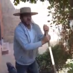¿Cómo hacer un huerto en tu casa?