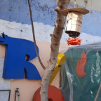 ¿Cómo hacer un huerto en tu casa?