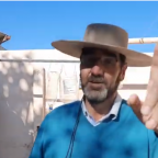 ¿Cómo hacer un huerto en tu casa?