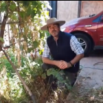 ¿Cómo hacer un huerto en tu casa?