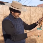 ¿Cómo hacer un huerto en tu casa?