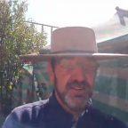 ¿Cómo hacer un huerto en tu casa?
