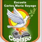 Resultado elección de nuestra insignia
