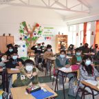 Día Mundial del Medio Ambiente