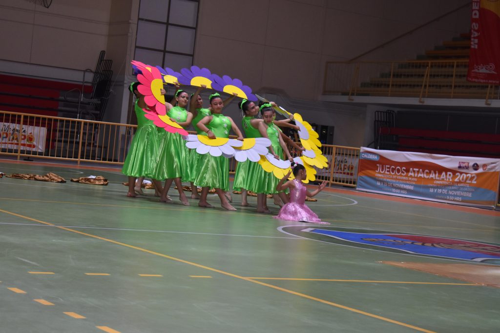 Academia de gimnasia rítmica.