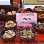 Degustación de alimentos indígenas