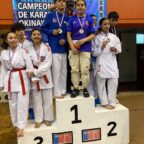 Campeonato de karate