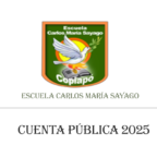 Cuenta pública 2025